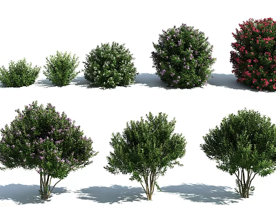Various Types of Shrubs with Colorful Flowers and Green Foliage in Different Sizes 3d model