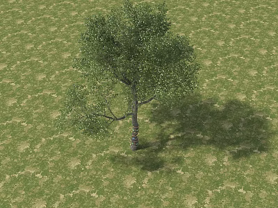 Kindergarten Natural Outdoor Play Area With Green Tree And Lush Grass Field 3d model