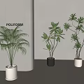 Indoor Bonsai Plants with Palm and Leafy Varieties in White Black Ceramic Pots on Grey Floor