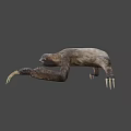 Realistic 3D Sloth Character Model For Game And Movie Animations