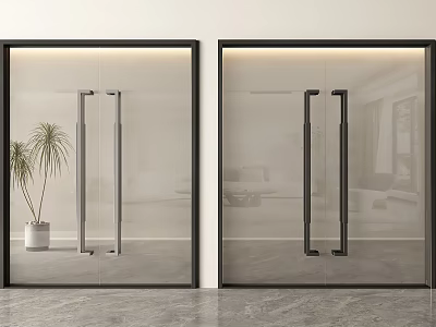 Modern Transparent Glass Double Doors With Black Frames In Interior Space And Potted Plant 3d model