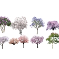 2D Tree Landscape Tree Cherry Blossom Tree Cherry Blossom Peach Blossom Tree Begonia Tree Lagerstroemia indica Jacaranda Magnolia grandiflora Lagerstroemia indica 3d model