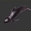 Black Aquatic Animal Whale With Sleek Body And Smooth Swimming Posture