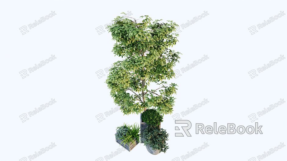 modern potted small tree potted plant model