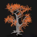 Ornamental Shrub With Orange Leaves Grayish White Trunk And Exposed Roots On Black Background