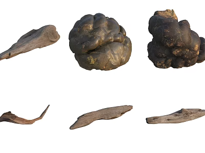 Natural Wood Pieces Featuring Unique Shapes And Various Textures 3d model