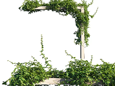 Lush Green Vines Growing On Wooden Garden Trellis With Fresh Leaves 3d model
