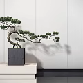 Bonsai Tree Curved Branches Green Pine In Gray Square Pot On White Platform White Wall