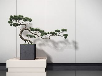 New Chinese Bonsai Pine Plant Ornaments 3d model