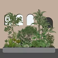 Indoor Green Plants Rectangular Planter with White Wall Arched Windows Palm Trees Ferns and Shrubs