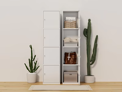 White Entryway Side Cabinet with Storage Baskets Folded Towels and Cactus Plants on Wooden Floor 3d model