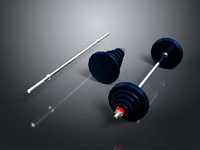 Professional Barbell Components with Barbell Bar Weight Plates and Collars 3d model