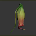 Distinctive Colorful Plant Featuring Green Yellow Red Gradient Curved Structure And Long Stem