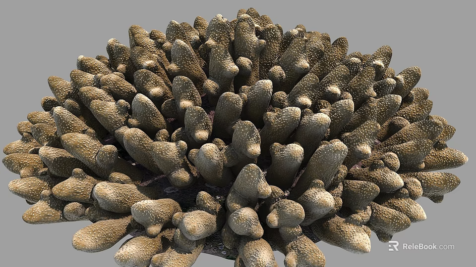 Aquatic Plant Coral Dense Brown Textured Structure In Underwater Marine Environment 3d model 