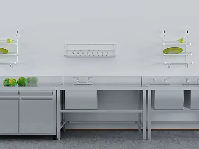 Modern Kitchen Setup With Stainless Steel Countertop Sinks Wall Shelves And Appliances 3d model