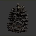 Close Up View Of Natural Pine Cone With Detailed Texture On Dark Background
