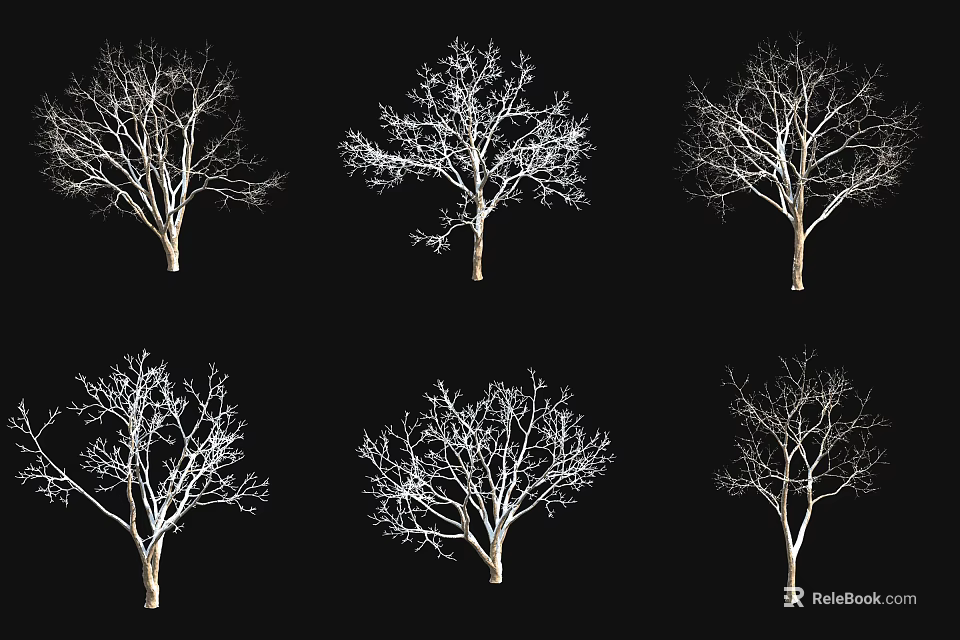 Multiple Leafless Arborescent Trees With Various Branch Structures On Black Background 3d model 