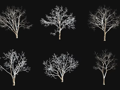 Multiple Leafless Arborescent Trees With Various Branch Structures On Black Background 3d model