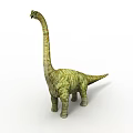 Large Green Dinosaur With Long Neck And Patterned Skin Standing On White Background