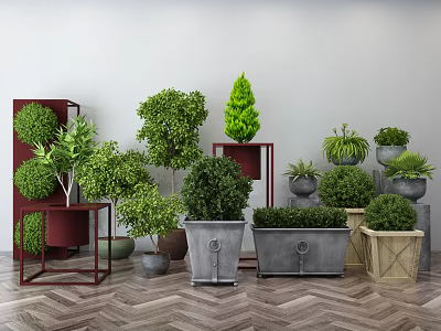 Assorted Bonsai Trees And Potted Plants In Various Planters For Indoor Decor 3d model