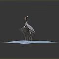 Red Crown Black Neck Crane with Outstretched Wings Standing on Blue Platform with Surrounding Grass