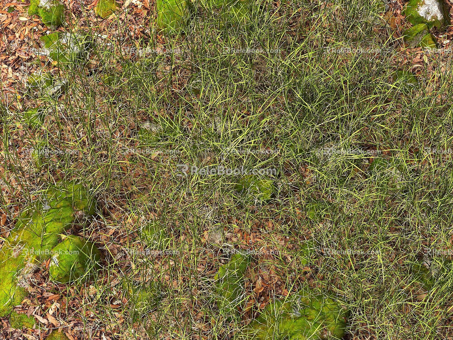 Modern grass flowers flowers grass grass lawn 3d model