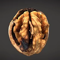 Opened Fresh Walnut With Visible Kernel On Dark Background Close Up View