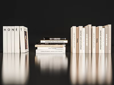 Classic and Art Books Stacked on Black Reflective Surface with Monet and The Friends Titles 3d model