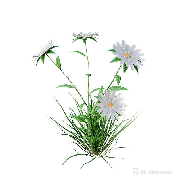 Beautiful White Flowers With Yellow Centers Green Leaves And Grass Like Plants On White Background 3d model 