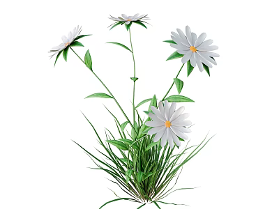 Beautiful White Flowers With Yellow Centers Green Leaves And Grass Like Plants On White Background 3d model