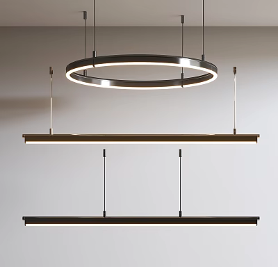 Modern Circular Chandelier With Metal Frame Suspended LED Lighting Design For Spaces 3d model