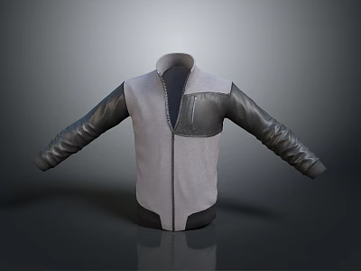 Modern Fashion Jacket With Leather Sleeves Gray Body Zipper Closure And Stand Collar Design 3d model