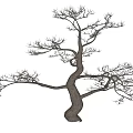 Modern Dead Tree Sculpture Root Carving Tree Dead Wood 3d model
