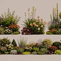 Diverse Garden Plant Combinations Featuring Flowering Shrubs Herbs And Colorful Blooms