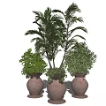 Decorative Indoor Potted Plants with Various Green Foliage in Terracotta Vases