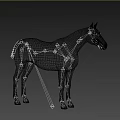Brown Horse Standing Against Black Background With Full Body Isolated View