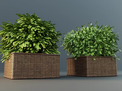 Stylish Floral Decoration With Wicker Planters And Lush Green Plants 3d model
