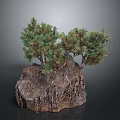 Decorative Rock Garden Model With Green Trees And Exposed Roots