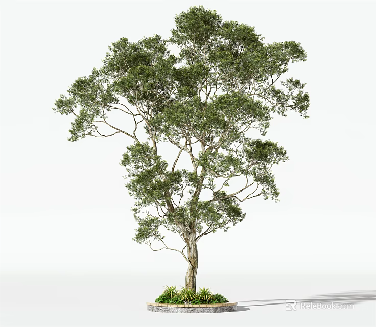 Tall Arbor With Lush Green Foliage And Small Plants At The Base 3d model 