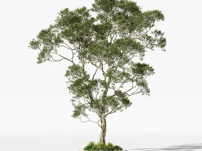 Tall Arbor With Lush Green Foliage And Small Plants At The Base 3d model