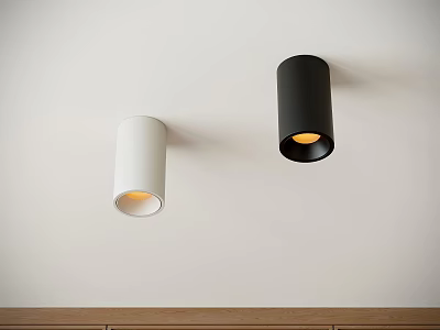 White and Black Spotlights Mounted on White Wall with Wooden Cabinets Below 3d model