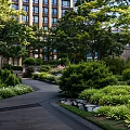 Lush Garden Landscape With Trees Shrubs Stone Pathway And Modern Building Background
