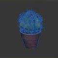 Green Spiky Cactus Plant in Red Terracotta Pot with White Thorns