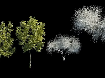 Various Arbor Trees With Green Foliage And White Crown Shapes On Black Background 3d model