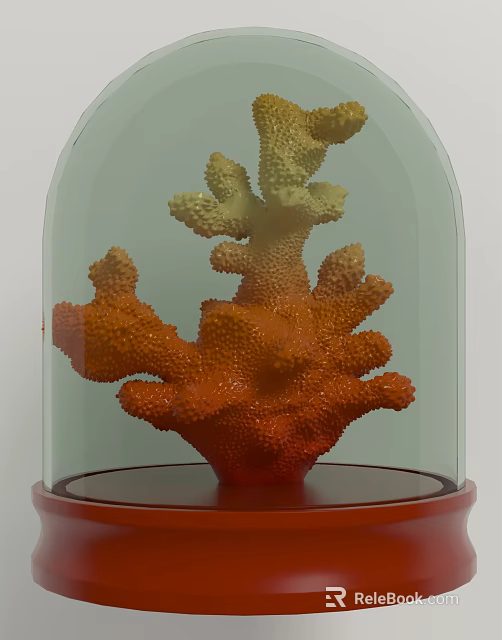 Coral Decorative Ornament Set With Glass Dome And Red Base 3d model 