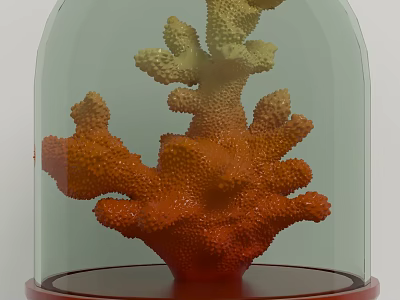 Coral Decorative Ornament Set With Glass Dome And Red Base 3d model