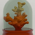 Coral Decorative Ornament Set With Glass Dome And Red Base