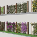 Colorful Flowering Vines Growing On Wooden Trellis In Garden With Green Grass