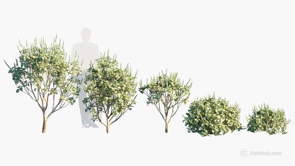 Various Arbor Plants With Green Foliage For Landscape Design And Garden Decoration 3d model 
