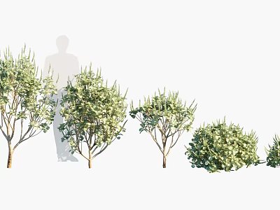 Various Arbor Plants With Green Foliage For Landscape Design And Garden Decoration 3d model